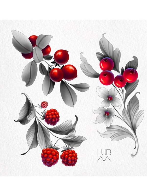 Selective Color Mastery Available: These custom botanical designs by Lubava feature hyper-realistic red berries and raspberries against soft grey leaves, designed for elegant anatomical flow.