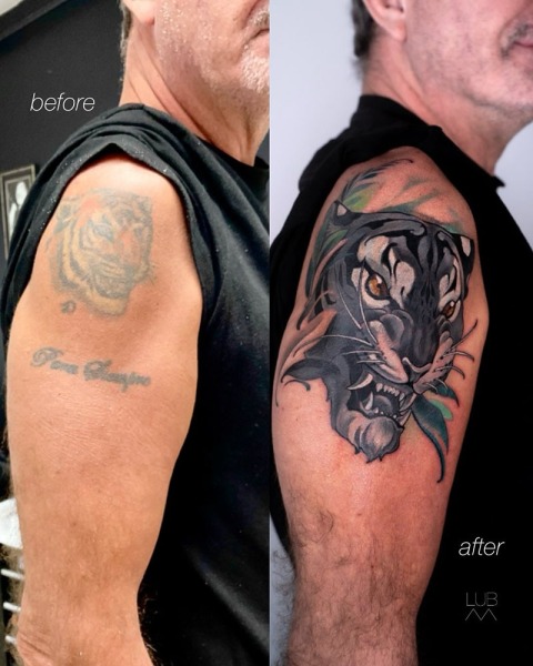 Before & After Transformation: A masterful transformation of an old tiger tattoo into a bold neotraditional panther piece with vibrant teal accents by Lubava.